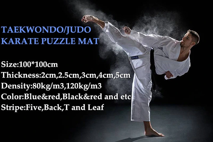 2cm 2.5cm Thickness EVA Taekwondo Tatami Puzzle Mat Judo Tatami Mat High Density Blue&Red Karate Martial Arts Mat with Border